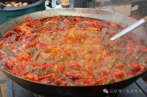 【民族团结】拖布卡镇借力民俗节庆擦亮民族团结、富民增收底色2