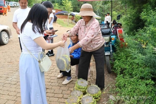 【民族团结】拖布卡镇借力民俗节庆擦亮民族团结、富民增收底色4