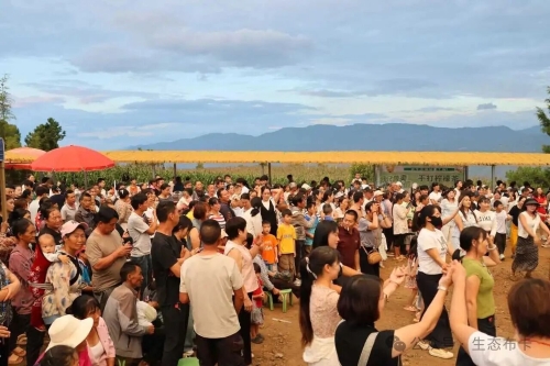 【民族团结】拖布卡镇借力民俗节庆擦亮民族团结、富民增收底色9