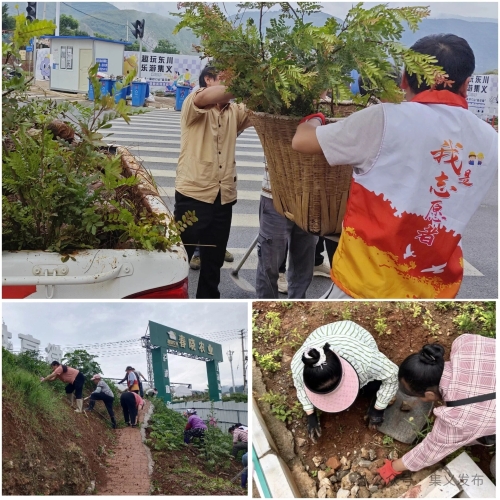 【人居环境提升】集义街道筑梦社区以“党建+社工+志愿服务”凝聚人居环境整治提升共治合力2