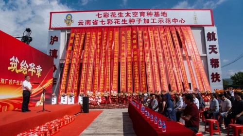 云南首个七彩花生“双厂”落地东川乌龙镇！本土特色农业解锁全链新赛道1