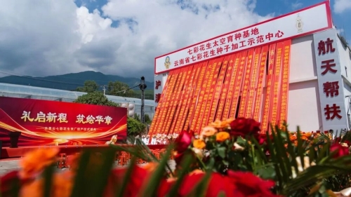 云南首个七彩花生“双厂”落地东川乌龙镇！本土特色农业解锁全链新赛道2