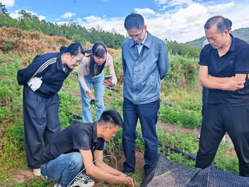 鎴寸溂闀滆繖涓氨鏄垜浠殑棣栧腑涓撳閭撳簡