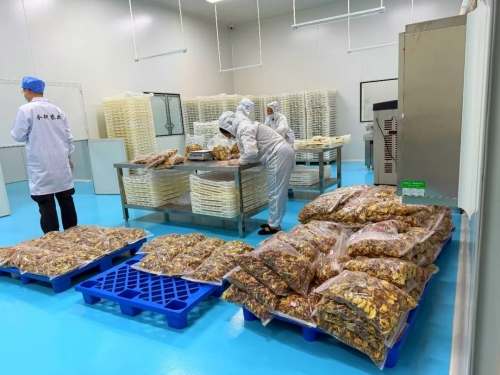 全链赋能提质增效 东川无花果摇身一变“致富果”4