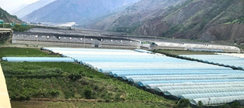 东川区碧谷街道：村投公司激活乡村振兴新动能