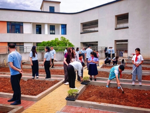碧谷街道新民小学：打造“党建+劳动+心育”新阵地3
