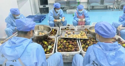 小小无花果，凭啥吸引省级大会落户东川？2