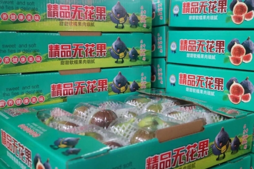 小小无花果，凭啥吸引省级大会落户东川？4