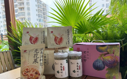 小小无花果，凭啥吸引省级大会落户东川？5