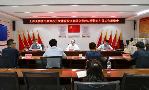 上海真如城市副中心开发建设投资有限公司赴东川开展东西部协作调研1