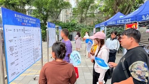 东川区举行2026年沪滇劳务协作“云上·乐业”专场招聘会2