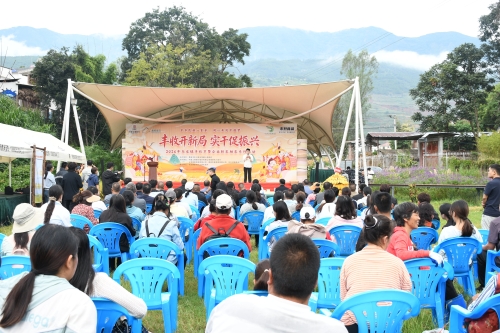 丰收开新局 实干促振兴——东川乌龙镇丰收节绘就乡村振兴新图景1