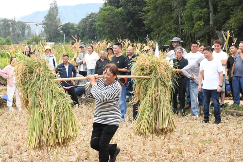 丰收开新局 实干促振兴——东川乌龙镇丰收节绘就乡村振兴新图景7