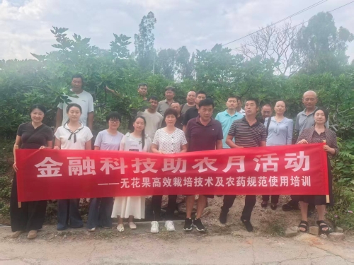 【乡村振兴】区农业农村局开展无花果高效栽培技术暨农药安全规范使用专题培训　赋能无花果产业提质增收2