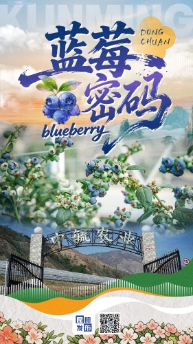 蓝莓密码2