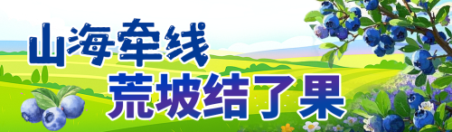 蓝莓密码3