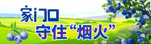蓝莓密码5
