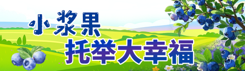 蓝莓密码8